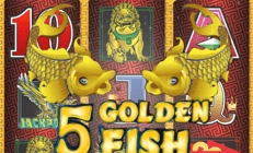 5golden fish